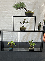 Shoin Display